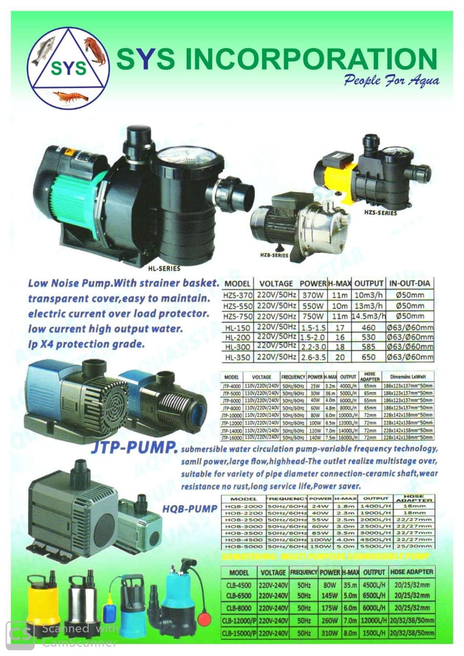 Submersible Pump